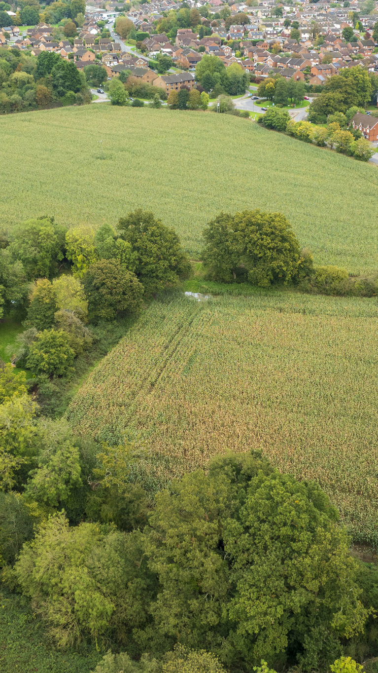 Land deserves more than permission.
It deserves purpose.